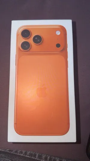 17 pro max