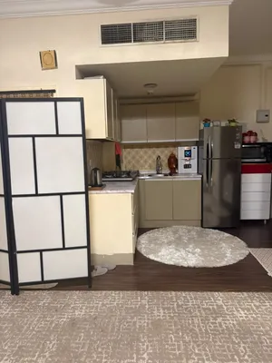 50 m2 Studio Apartments for Rent in Sharjah Al Qasemiya