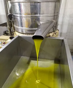 زيت زيتون بلدي بعل رومي مضمون ومكفول لآخر قطره بتنكه زيت لعام الماضي ويجود زيت سنه