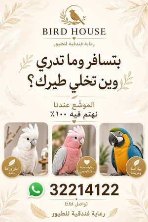التواصل فقط واتس