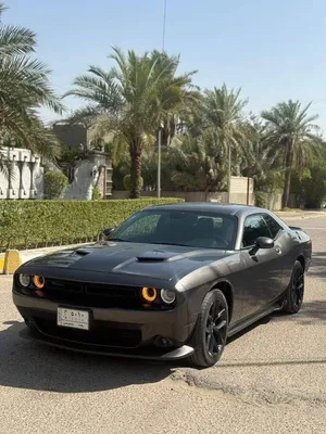 دوج جالنجر 2022 sxt black top