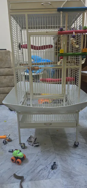 Bird Cage for sale