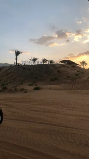 مخيم النور