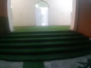 العشب الصناعي ( الجراس) نحن لدينا فريق عمل متميز لتركيب وبيع العشب الصناعي موقعنا الخوير خبرة 30 عام
