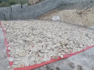 خبز روتي  مع اللبناني مخلوط