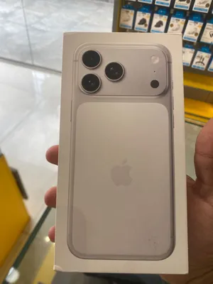 17 pro max