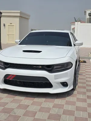 دودج تشارجر سكات باك 2019