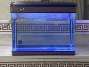 حوض سمك كبير بقمه النظافه للبيع مع ضوء LED