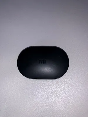 Xiaomi Redmi AirDots ( known globally as the Mi True Wireless Earbuds Basic)