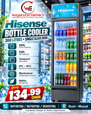brandHisense capacity300L
