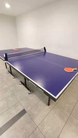 SKYLAND PING PONG TABLE