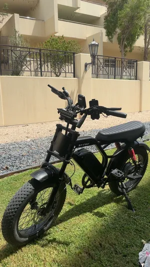 Windhorse V8 Pro (modded)
