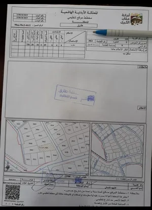 ارض لقطه للبيع في طبربور لقطه 1087