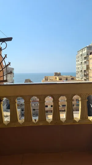 120 m2 3 Bedrooms Apartments for Rent in Alexandria Sporting