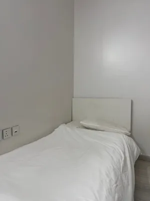 اسرة ايكيا