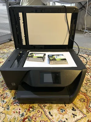 HP OFFICE JET PRO 6960 print,fax,scan,copy,web (FREE INK)