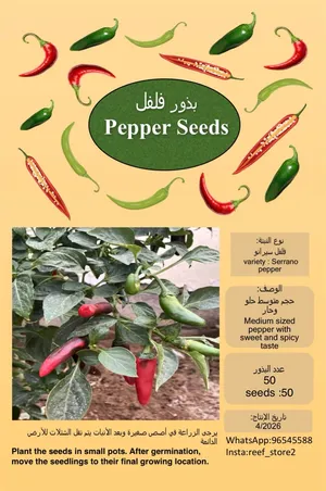 للبيع بذور فلفل نوع-سيرانو  Serrano Pepper Seeds