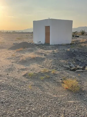 ارض زراعيه للبيع في ولاية ادم منطقة راس الجبل غير مزروعه