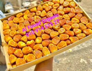 سكرى سعودى ملوكى القصيم