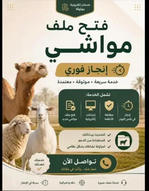 فتح ملفات تربيه مواشي مع تأييد رصيد تاشيرات فتح ملف تربية مواشي