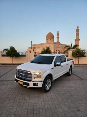 Ford f150 paltimun