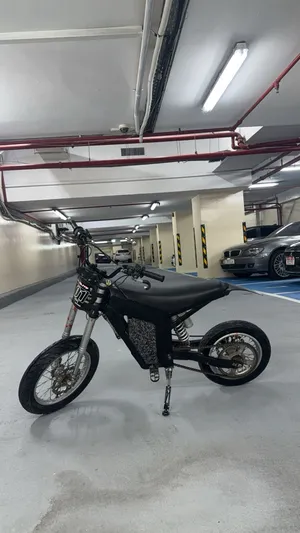 Custom Kugoo Wish 01