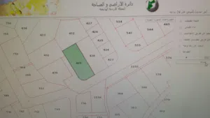 ارض عين الباشا