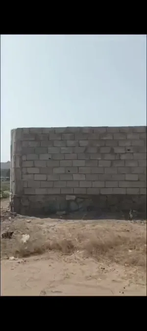 اكبرعرطه في قلب الحديده ارض حرمعمد500مترشارعين