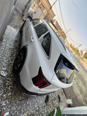 سورنتو خليجي كفاله 24