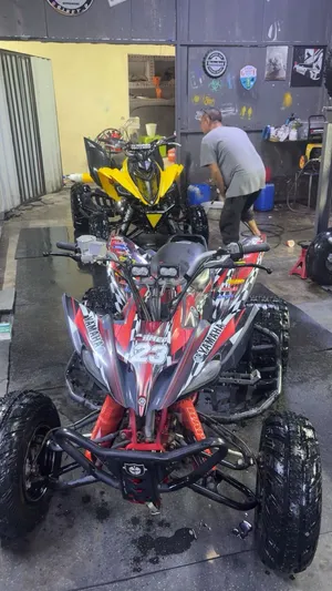 Raptor250 2008 for sale