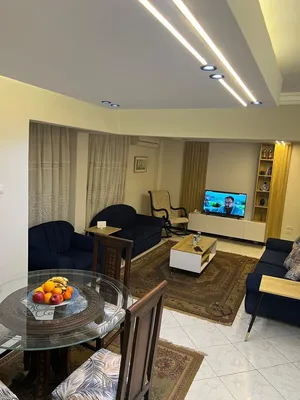 Furnished Monthly in Giza Mohandessin