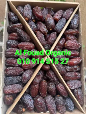 مجدول بريميوم سادة أو محشى مكسرات