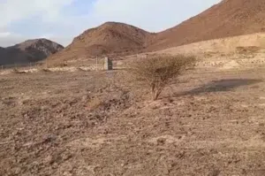 فقط تملك (جواز راس الخيمة ) للبيع مزرعتين  في راس الخيمة  موقع متميز بين الجبال 242،000قدم )
