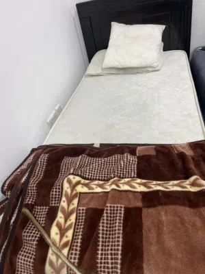 مشاركة استديو مع شاب في محمد بن زايد
