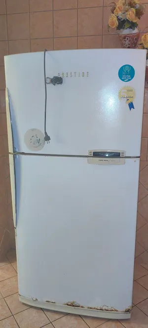 ثلاجة كبيرة استعمال نظيف