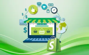 E-Commerce Online Store Setup & Development Shopify Expert