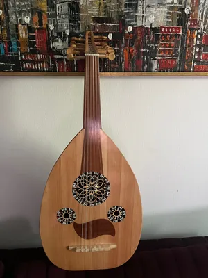 عود تدريبي ممتاز