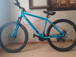 vilo max star