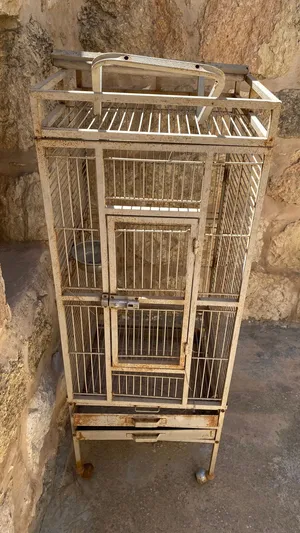 قفص ببغاء للبيع