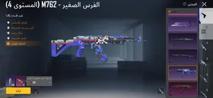 Pubg Accounts and Characters for Sale in Tripoli