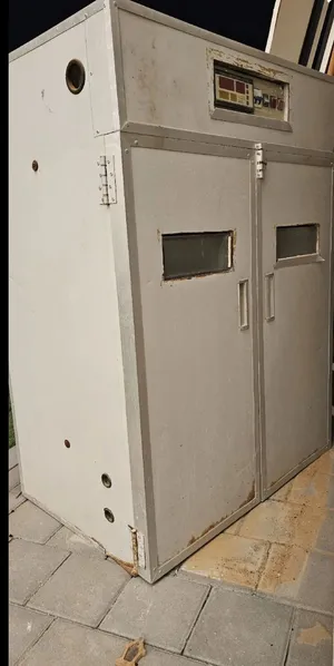 فقاسة بيض للبيع