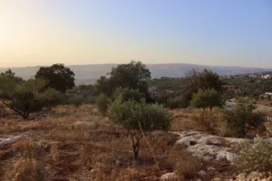 أرض للبيع في أرقى احياء المملكة بدر الجديدة ذات اطلاله