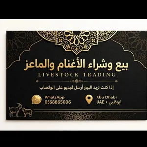 شراء وبيع الأغنام والماعز