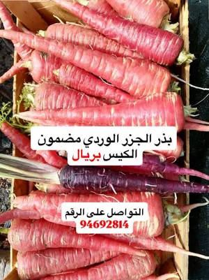 بذور متنوعه