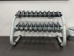CHROME TECHNOGYM DUMBBELLS SET + STAND – AED 5,500