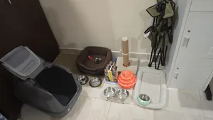 Cat Accessories Set for Sale – Good Condition مجموعة مستلزمات القطط للبيع - حالة جيدة