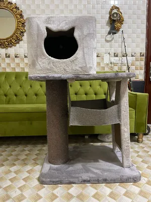 CAT HOUSE FOR SALE!