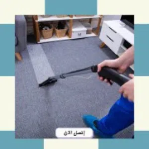 شركة مكافحة حشرات بالطائف رش مبيدات بالطائف صراصير بق النمل الناموس الذباب الفئران تركيب طارد حمام