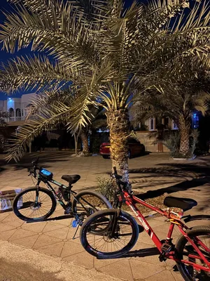 Bicycle For sale