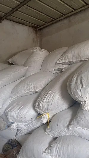 نفيعة تمر السنة